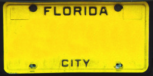 license plate plates