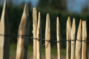 wood fence