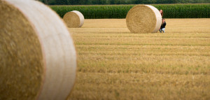 Two Girls hiding behind Straw Bale in Field